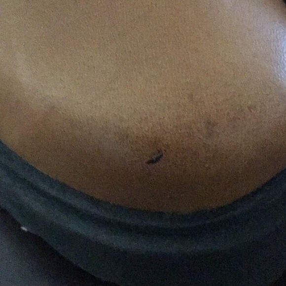 Free People Tristan Chelsea Platform Boot 37 (7) NWOB - Picture 9 of 10